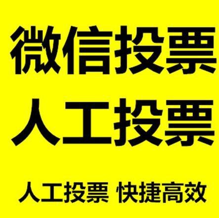 龙岩市小程序微信拉票通过什么方式操作有哪些方法操作？